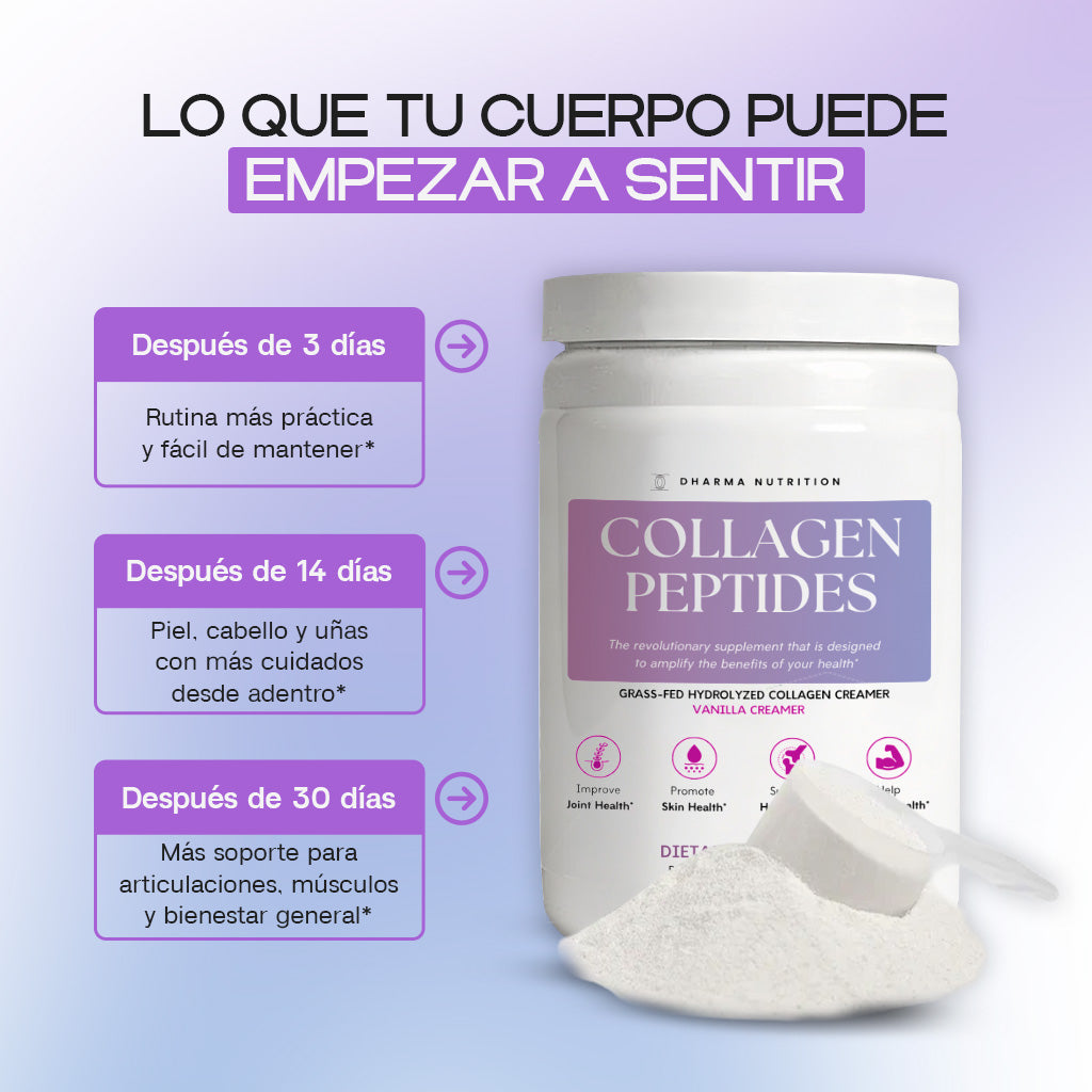 Vanilla - Collagen Peptides Creamer Grass-Fed Powder