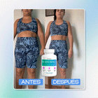 Berberine Plus | Máximo Control Metabólico y Pérdida de Peso