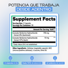 Berberine Plus | Máximo Control Metabólico y Pérdida de Peso