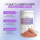 Chocolate - Collagen Peptides Grass-Fed Powder