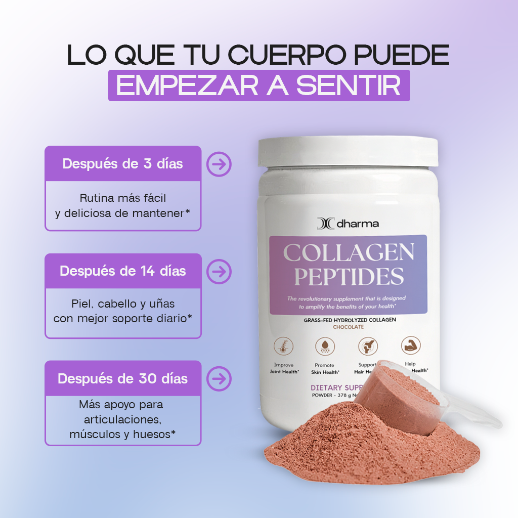 Chocolate - Collagen Peptides Grass-Fed Powder