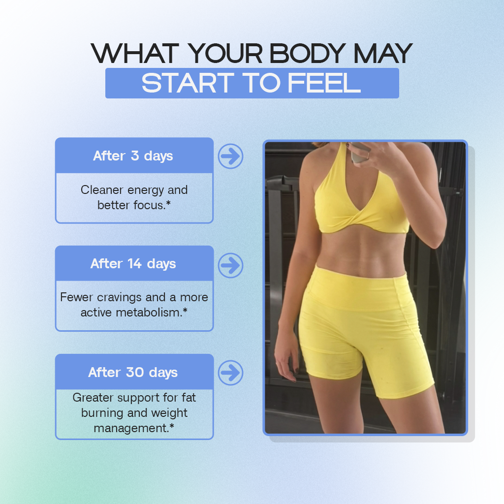 MCT Fat Burner | L-Carnitine and Appetite Control