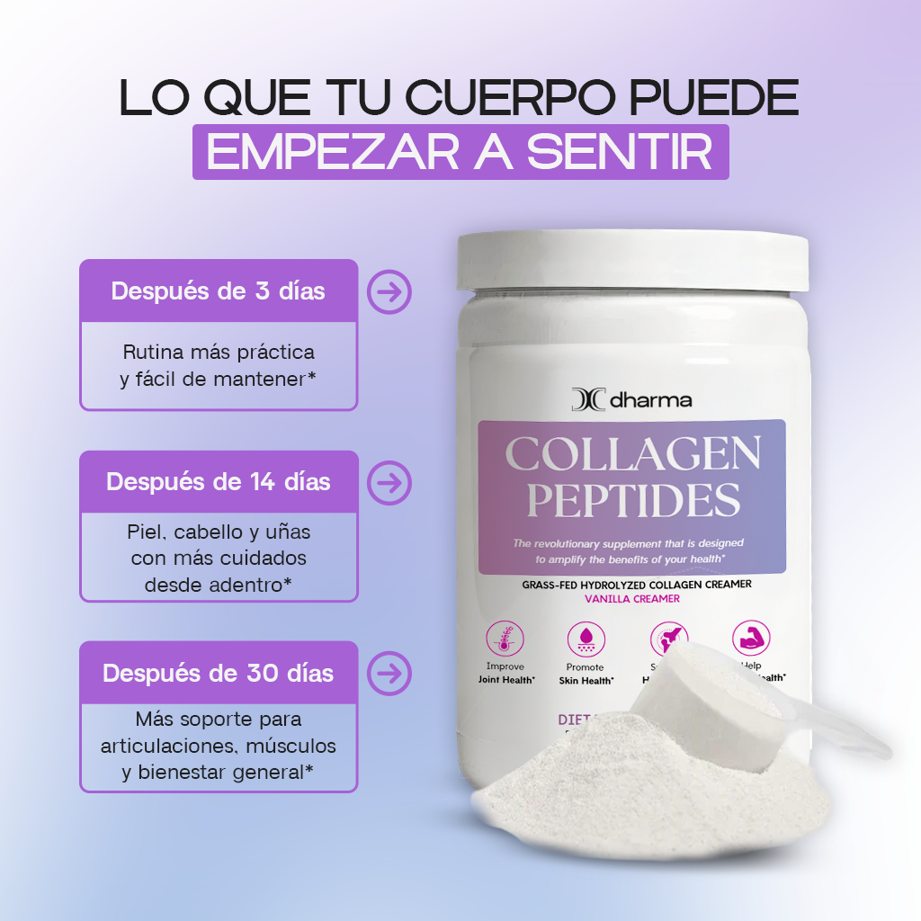 Vanilla - Collagen Peptides Creamer Grass-Fed Powder