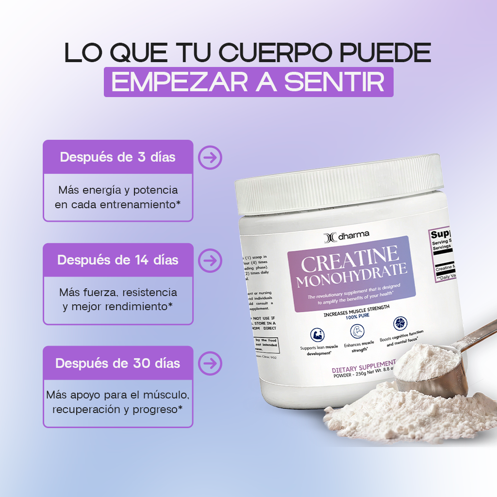 Creatine Monohydrate – Strength, Performance & Muscle Recovery