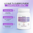 Plant Protein (Chocolate)