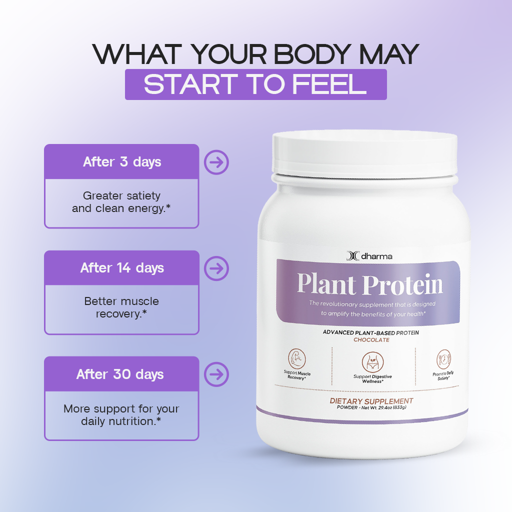 Plant Protein (Chocolate) | Plant Protein and Muscle Growth