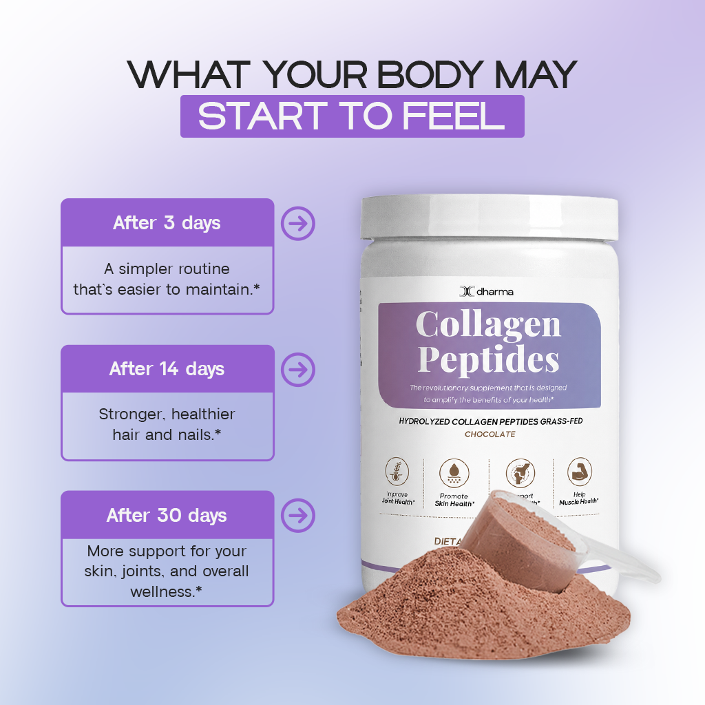 Chocolate - Collagen Peptides | Skin, Hair and Joint Support
