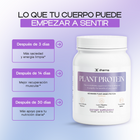 Plant Protein (Vanilla)