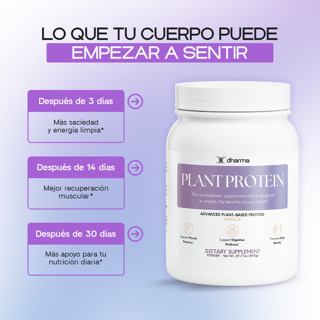 Plant Protein (Vanilla)