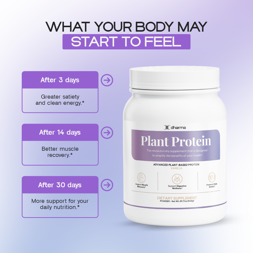 Plant Protein (Vanilla) | Plant Protein and Muscle Growth