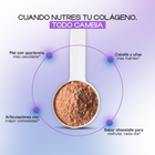Chocolate - Collagen Peptides Grass-Fed Powder