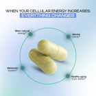 NAD+ | Cellular Energy and Anti-Aging Support