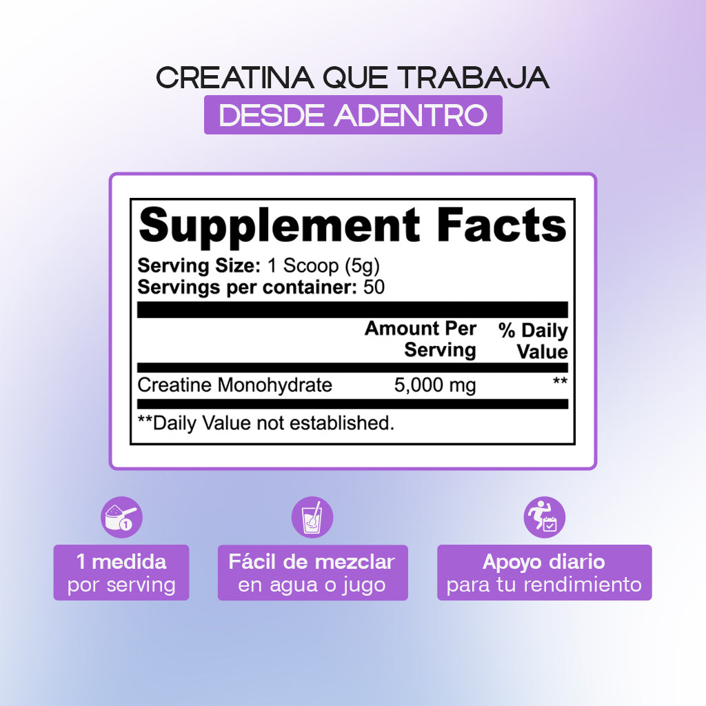 Creatine Monohydrate – Strength, Performance & Muscle Recovery