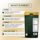 Original Detox Tea | Digestion and Bloating Relief