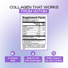Chocolate - Collagen Peptides | Skin, Hair and Joint Support