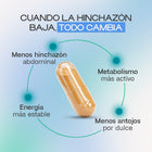 Berberine Plus | Máximo Control Metabólico y Pérdida de Peso