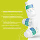 Gut Boost Pro gut health supplement – supports flatter abdomen and lighter feeling daily