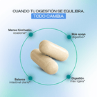 Apple Cider Vinegar Capsules - Dharma Nutrition Clinic
