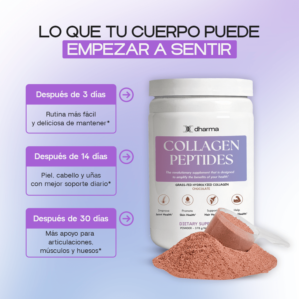 Chocolate - Collagen Peptides Grass-Fed Powder - Dharma Nutrition Clinic