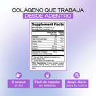 Chocolate - Collagen Peptides Grass-Fed Powder - Dharma Nutrition Clinic