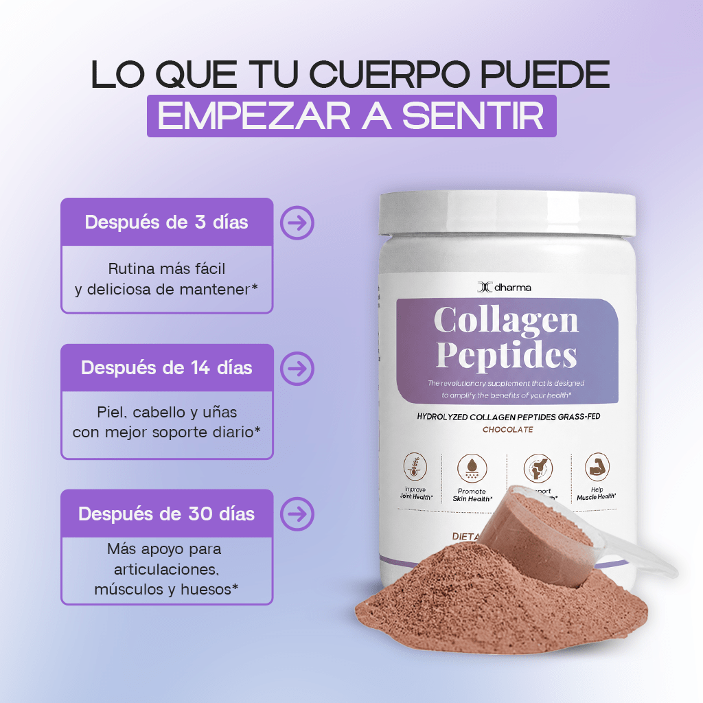 Chocolate - Collagen Peptides Grass-Fed Powder - Dharma Nutrition Clinic