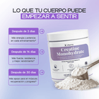 Creatine Monohydrate – Strength, Performance & Muscle Recovery - Dharma Nutrition Clinic