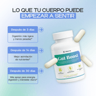 Gut Boost Pro | Salud Digestiva y Alivio de la Hinchazón - Dharma Nutrition Clinic