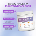 Hydraglow Powder (Peach Mango) - Dharma Nutrition Clinic