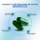 MCT Fat Burner with L-Carnitine & Appetite Control - Dharma Nutrition Clinic