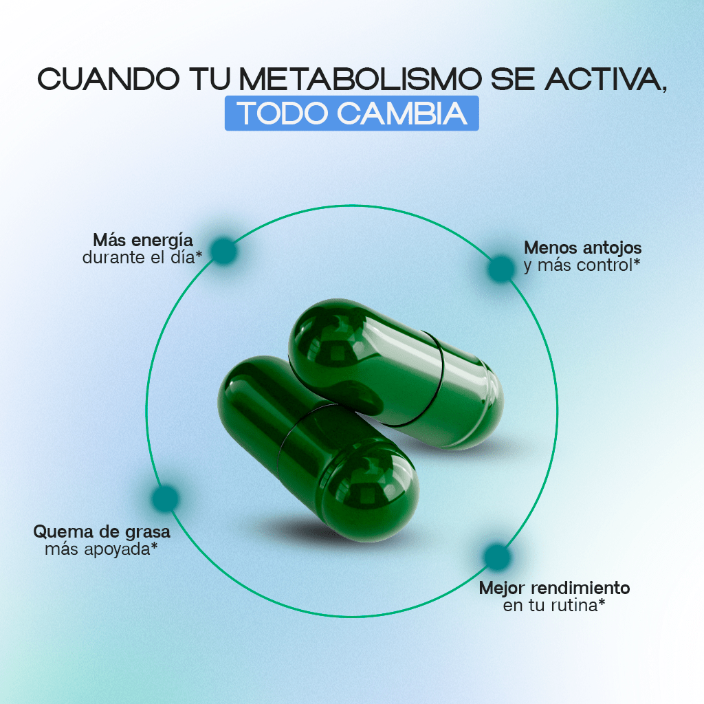 MCT Fat Burner with L-Carnitine & Appetite Control - Dharma Nutrition Clinic
