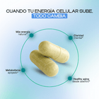 NAD+ Cellular Energy & Anti-Aging - Dharma Nutrition Clinic