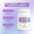 Plant Protein (Chocolate) - Dharma Nutrition Clinic