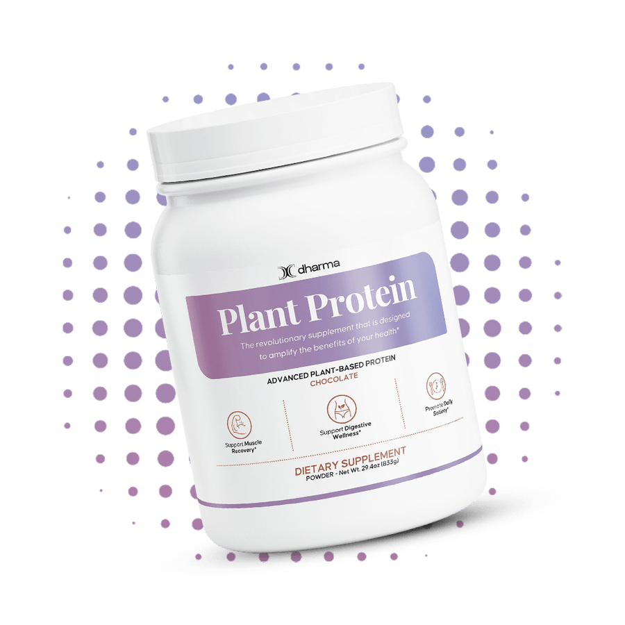 Plant Protein (Chocolate) - Dharma Nutrition Clinic