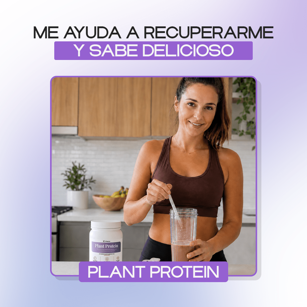 Plant Protein (Chocolate) - Dharma Nutrition Clinic