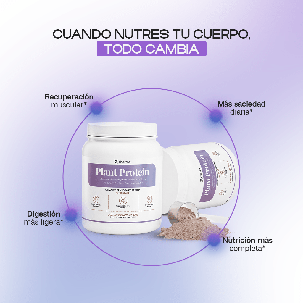 Plant Protein (Chocolate) - Dharma Nutrition Clinic